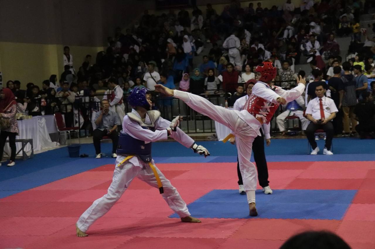 taekwondo telkom university